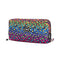 Rainbow Leopard Pencil Case