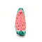 Pink/Green Watermelon Pouch