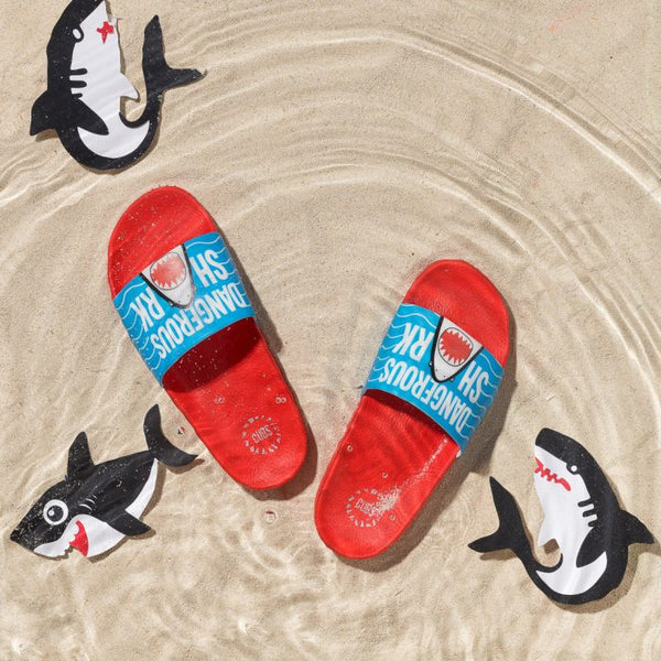 Dangerous Shark Slide