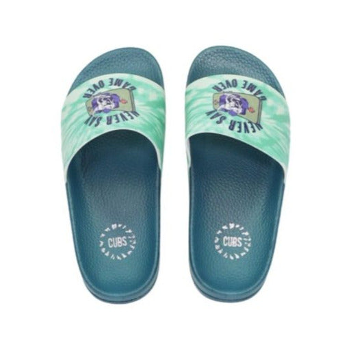 Dino Never Game Over Blue Boys Slide