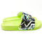 Green Lizard Graffiti Slide