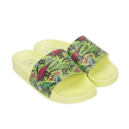 Green Roar Yellow Boys Slide