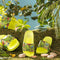 Green Roar Yellow Boys Slide