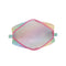 Rainbow Cat Hard Top Pencil Case