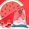 Water Melon Ice Cream Slide