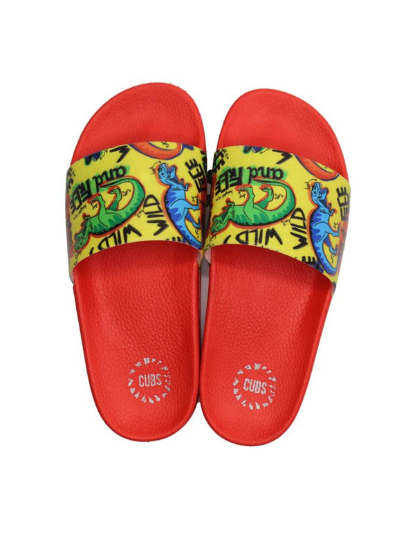 Wild Dino Slide